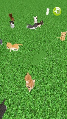 一起来抓猫手游免费版图3