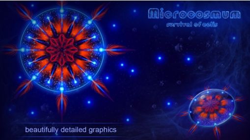 Microcosmum图1