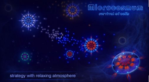Microcosmum图2