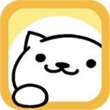猫咪后院