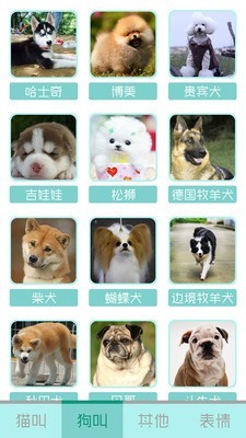 猫叫声狗叫声模拟手机免费版(2)