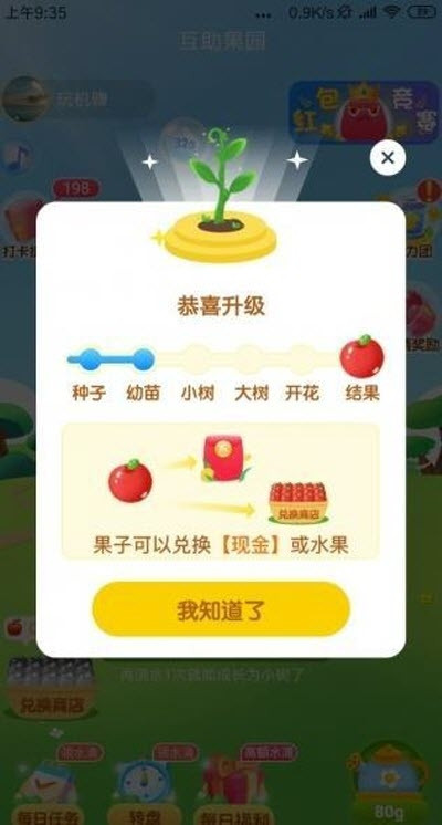 疯狂果园最新版图2