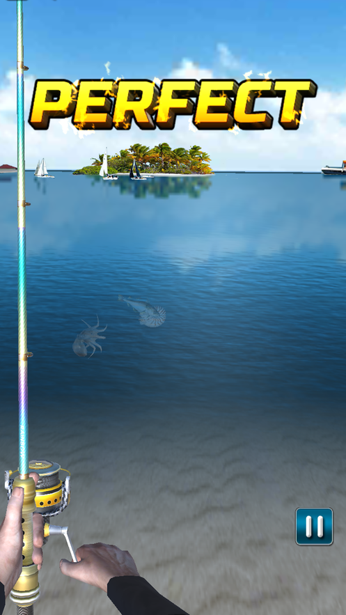 fishingseason手机正版图3