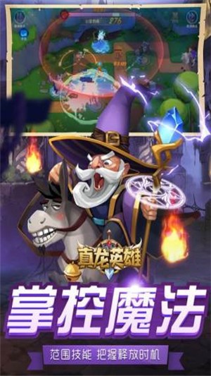 真龙英雄(1)