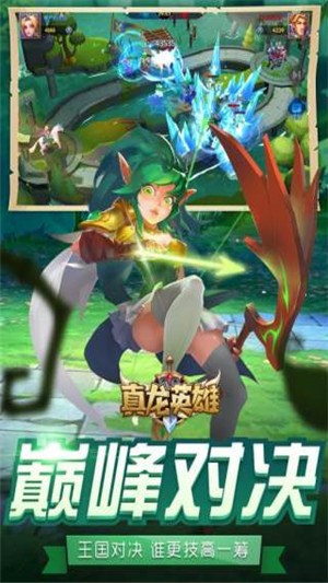 真龙英雄(4)
