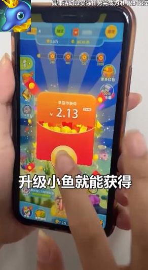 养鱼天天赚游戏绿色版(3)