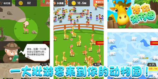 迷你动物园图3