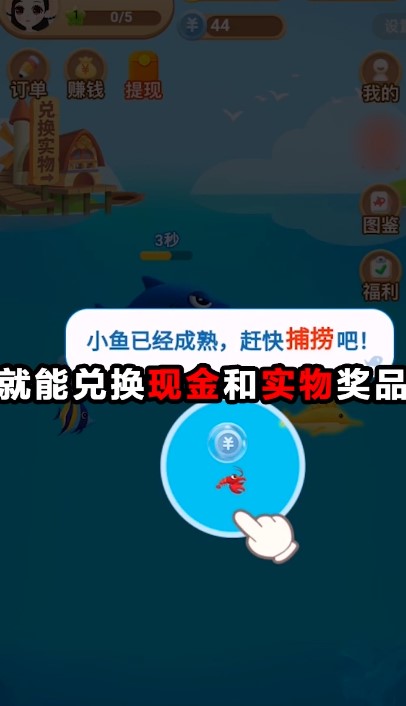 阿伦的鱼塘图1