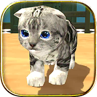模拟猫咪游戏绿色版