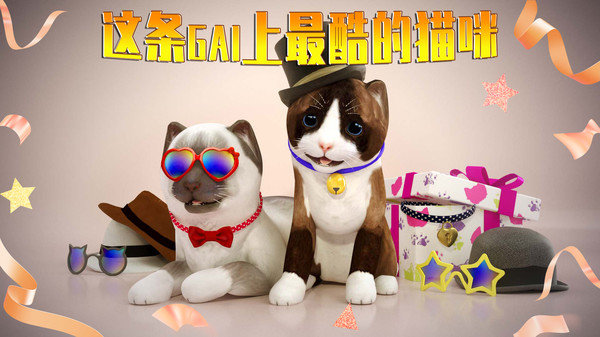 模拟猫咪图3