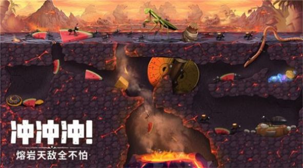 机智的小动物游戏绿色版图3