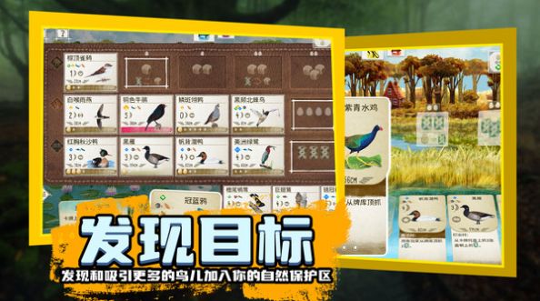 鸟类观察家(3)