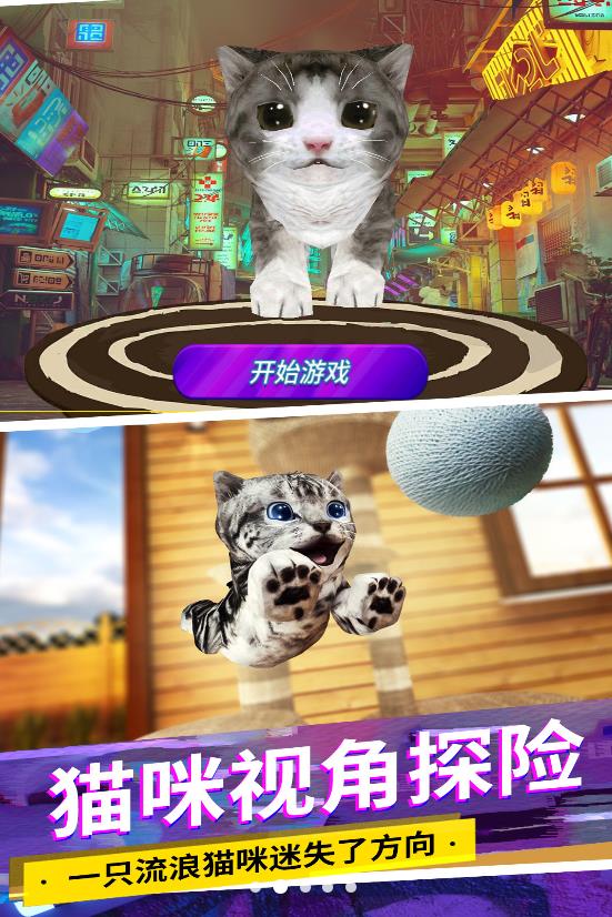 猫咪城市模拟游戏正版图2