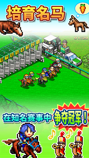 跑马大亨(3)
