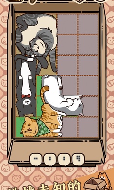盒子猫免费原版图1