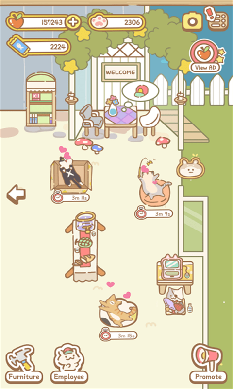 猫猫的店最新免费版图1
