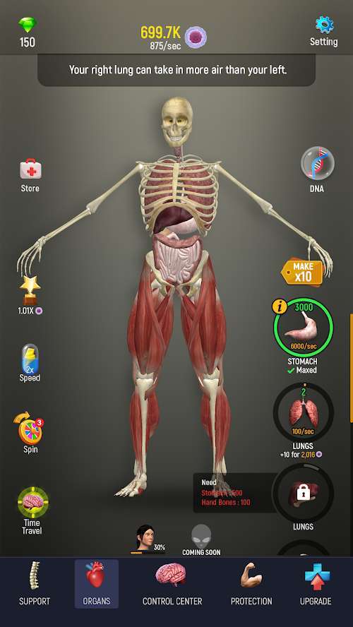 人体模型模拟器直装版图2