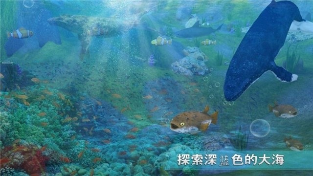 全民养鲨鱼直装游戏版图1