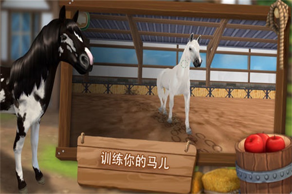 照顾马儿们