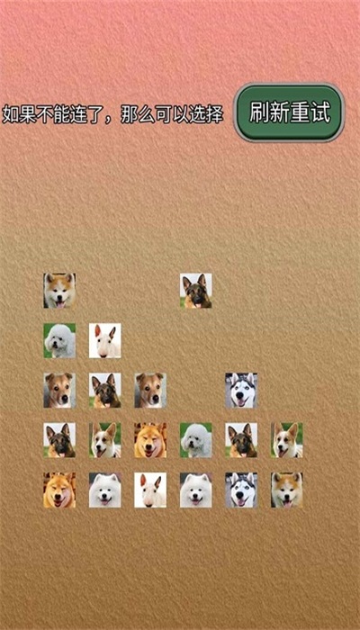 宠物连的快官方版图1