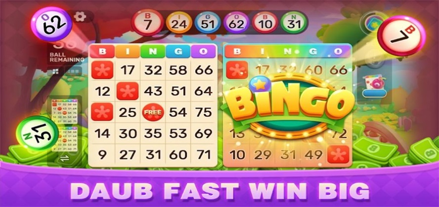 Bingo Party(3)
