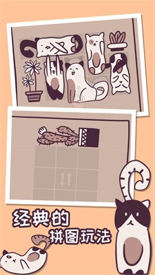 我的小猫贼好看安卓版