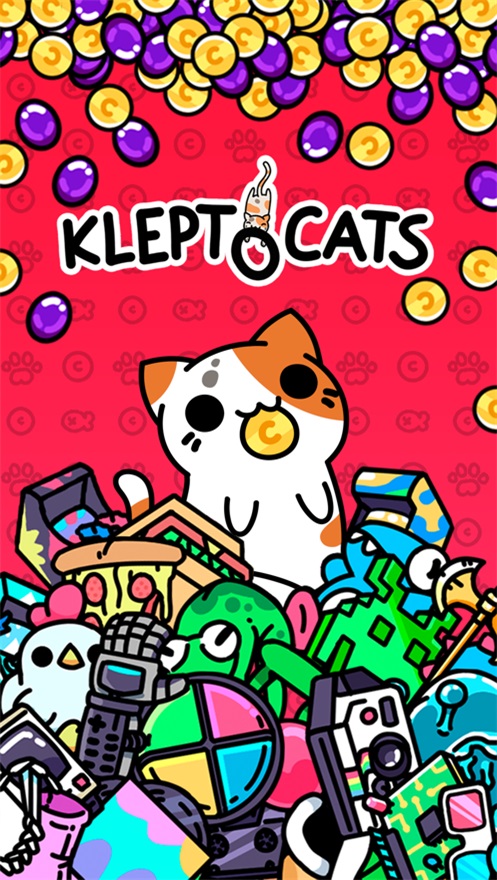小偷猫
