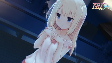 IRIS安卓直装版图2