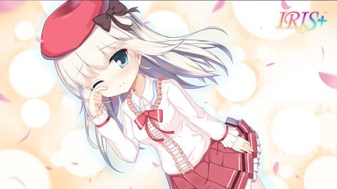IRIS安卓直装版图3