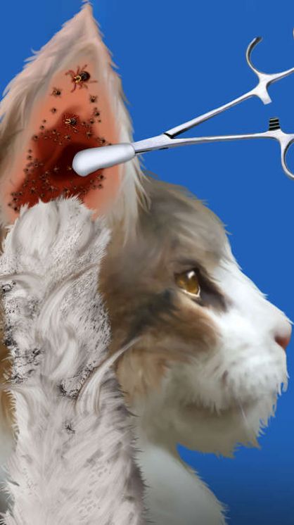 CatMakeover安卓官方版图1