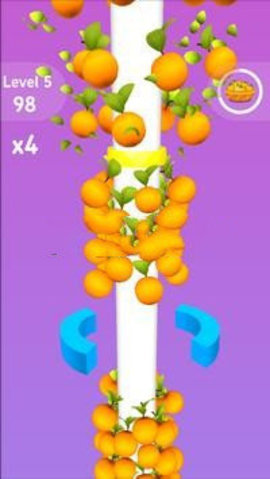 fruit图3