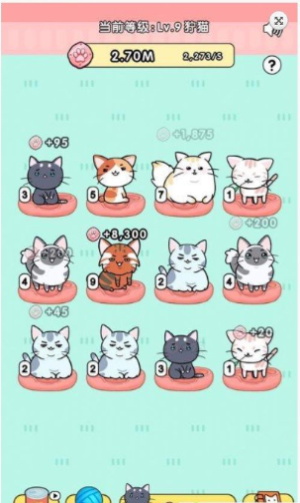 猫咪世界图1