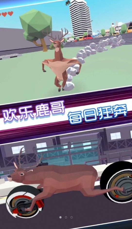 全民动物模拟直装版图1