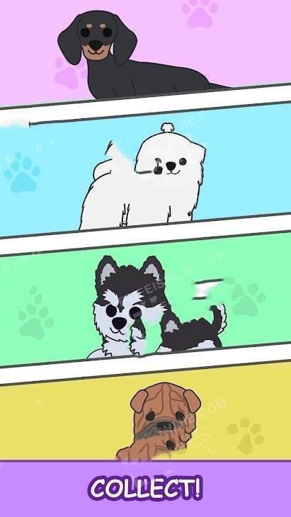 合并汪星人图1