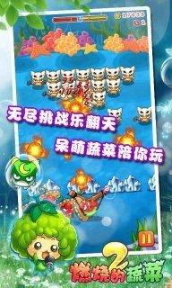 燃烧的蔬菜2手机版图4