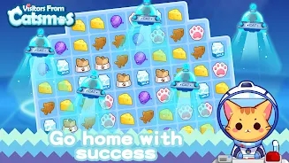 catsmos手机正版图2