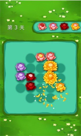 微伞锦上添花图1