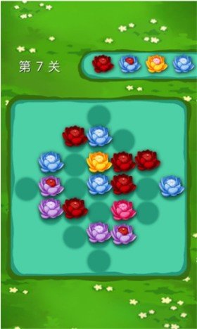 微伞锦上添花图2