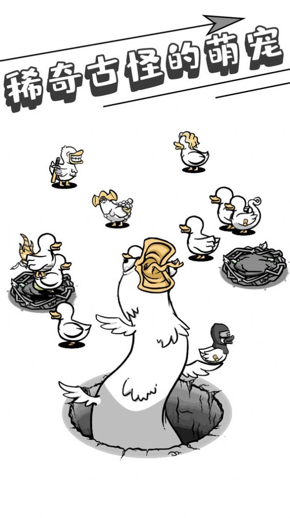 母鸡下蛋图1