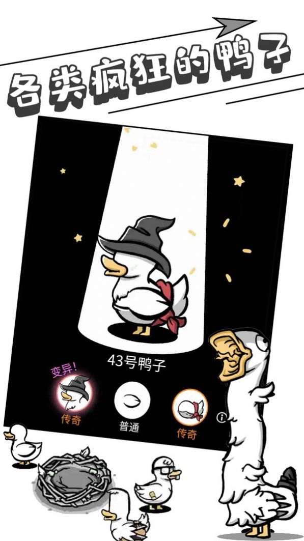 母鸡下蛋图2