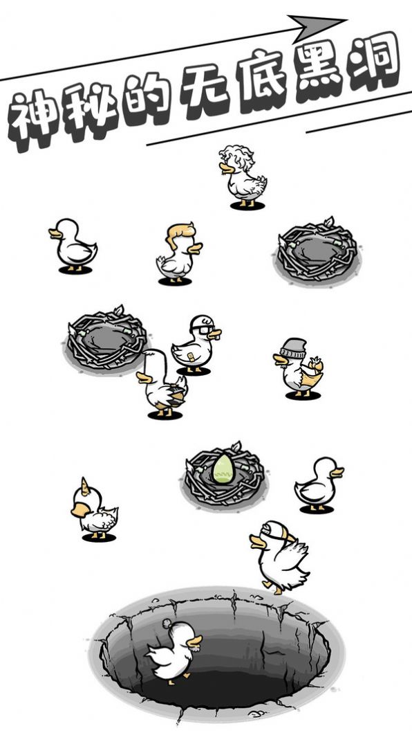 母鸡下蛋图3