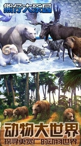 熊仔大乐园直装游戏版图3