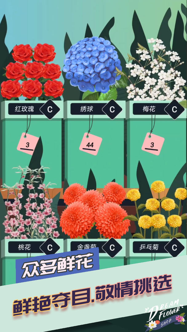 梦想花店图2