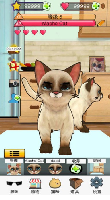 狂刷猫咪免费原版图1