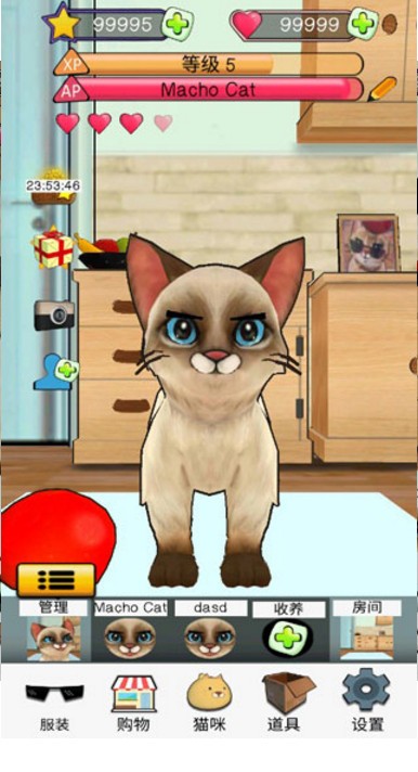 狂刷猫咪免费原版图2