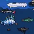 模拟水族馆1安卓官方版