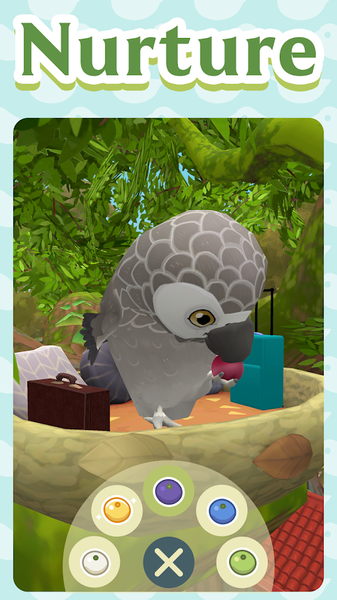 birdbnb(1)