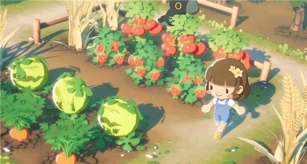 puffpalsislandskies游戏完整版图3