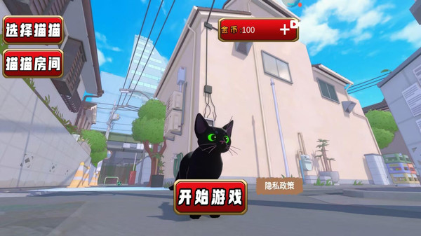 猫猫游乐园游戏安装包图1