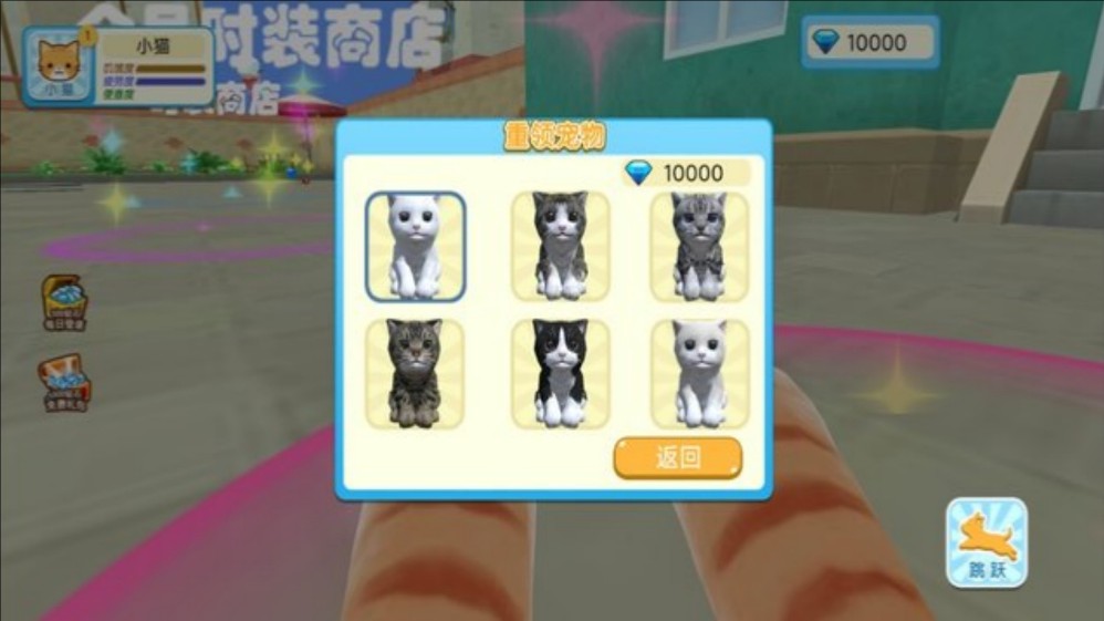 奶奶的猫咪游